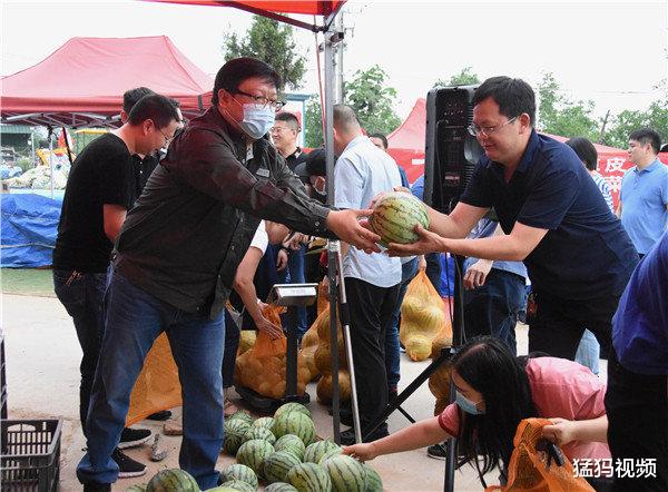 「新密」“预存电费送西瓜” 瓜农6000余斤滞销西瓜两小时销售一空