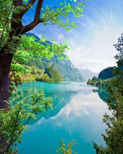 林芊妤|为上位在厕所出卖自己30分钟的林芊妤，被记者全程录音后今怎样