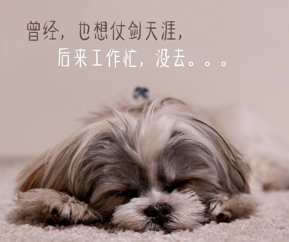 HBase|HBase的基础架构，莫非要搭建盖房子？