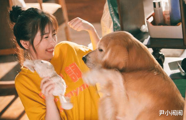 金鹰女神|金鹰女神惊现断层票？杨幂杨紫皆无缘，她领先10万票稳居榜首