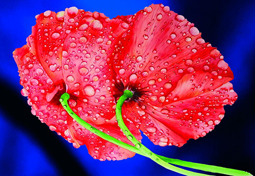 「巨蟹座」6月开始，好运连连，不缺钱花的三个星座