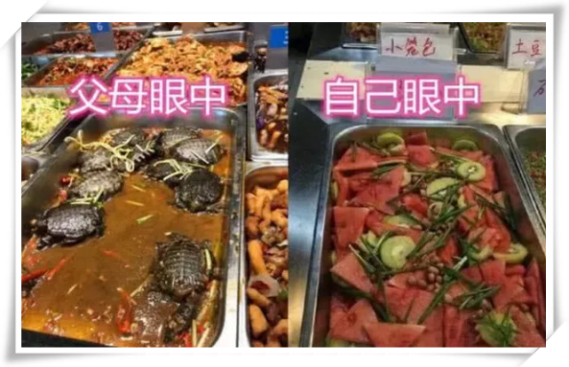 父母眼中的学校VS我眼中的，宿舍和校服还行，看到食堂泪流满面