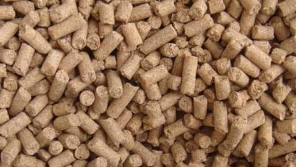 股市 玉米价格能否再探2893元/吨?概率很大!为何?