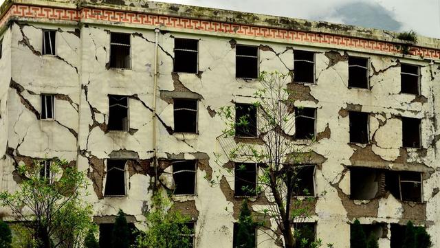 Google|每一台手机都是地震仪？谷歌突然宣布，安卓用户“喜从天降”