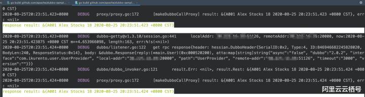 心跳|Nacos Go 微服务生态系列(一)| Dubbo-go 云原生核心引擎探索