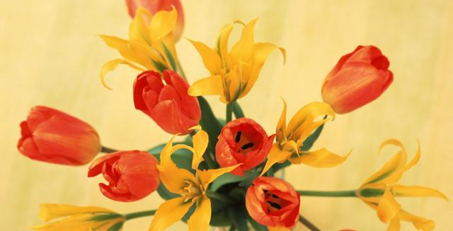 运势|8月底,财运兴隆,钞票八方来,3生肖喜从天降,运势一旺再旺