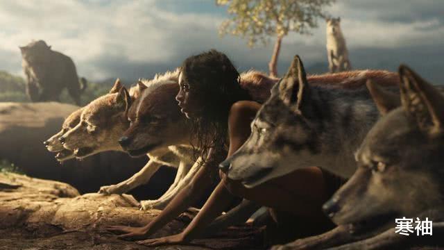 【猩猩】“猩猩和儿童实验”: 专家9个月后紧急叫停，原因：猩猩有所进化