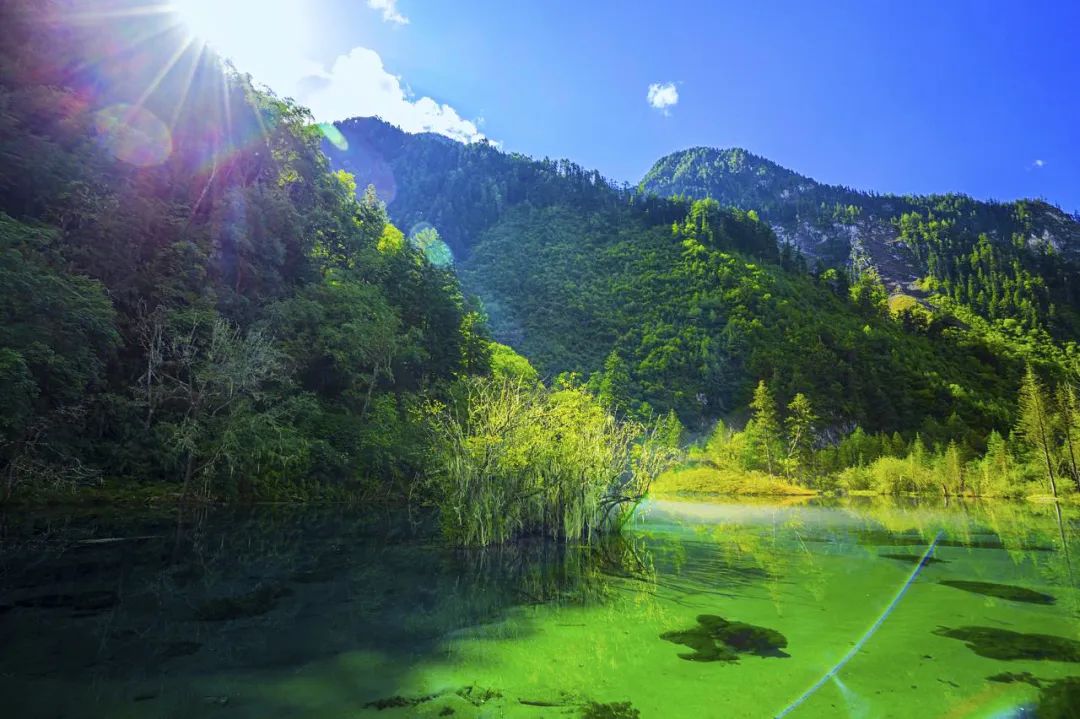 深圳市|恢复开园！年均气温14℃，我们的川西小瑞士回来了！思鹿旅行推荐