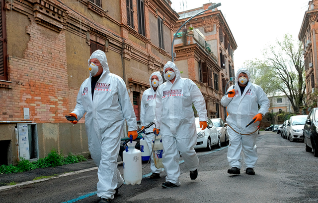 #抗体#新冠病毒可以消灭了？羊驼产生的抗体用来治疗，效果显著！