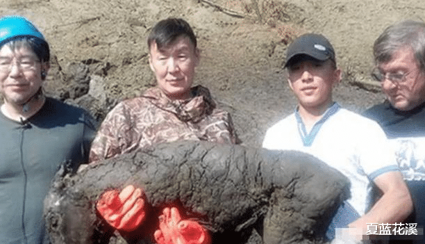 长征七号|俄罗斯现神秘“地狱裂纹”，考察后发现沉睡的远古生物，正在复苏！