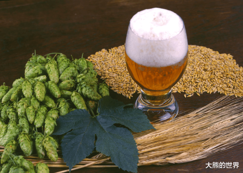 啤酒|买啤酒,不管啥牌子,配料里有这2类成分,就不是好啤酒,味寡淡