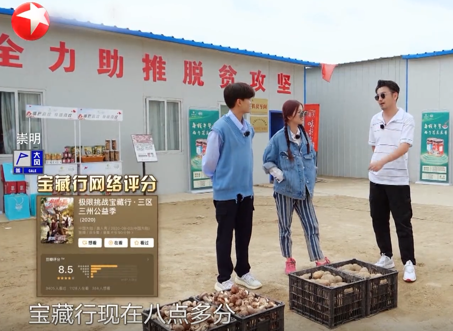 雷佳音|极限挑战为什么不请飞行嘉宾？雷佳音终于说出原因，很现实