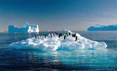 全球变暖|传来坏消息，新冠病毒之外，上亿人或会因此遭受大难