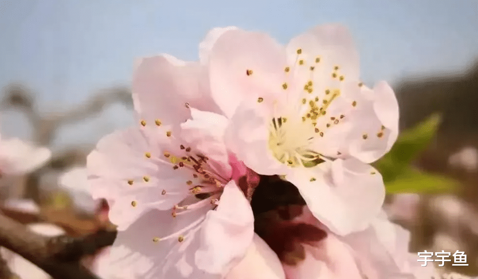 运势|9月财运大涨，4生肖运势上上签，事业水涨船高，咸鱼翻身人上人