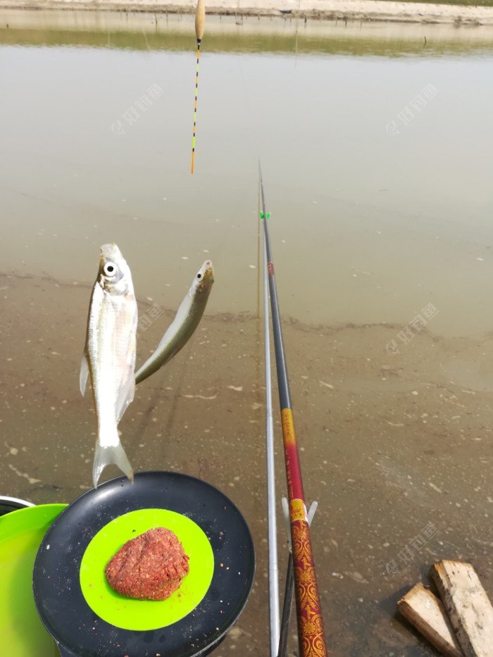 「南唐」从漂相了解鱼儿的吃饵情况，是每一个钓鱼人的必学课程