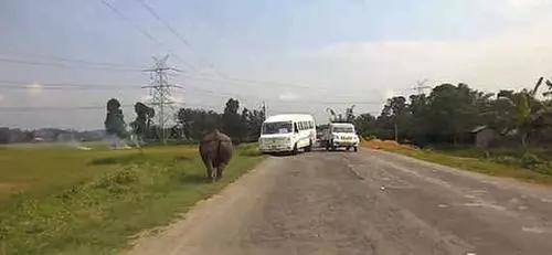 『中国制造』印度的对华折腾，又开始了。