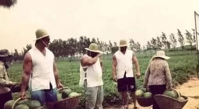 健身教练|健身房保洁阿姨“麒麟臂”走红网络:45cm臂围是不小心练出来的