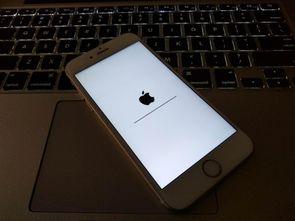 App Store|IOS生态地震，下架所有无版号应用！中小开发者前路渺茫。