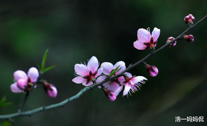 「生肖」6月19号起红票子成倍涨,4生肖运势逆袭,贵人八方来,出人头地