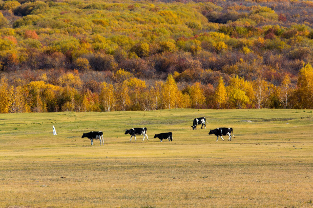 稻城亚丁|10个秋季最美旅行地，稻城亚丁上榜，最后一个少有人知