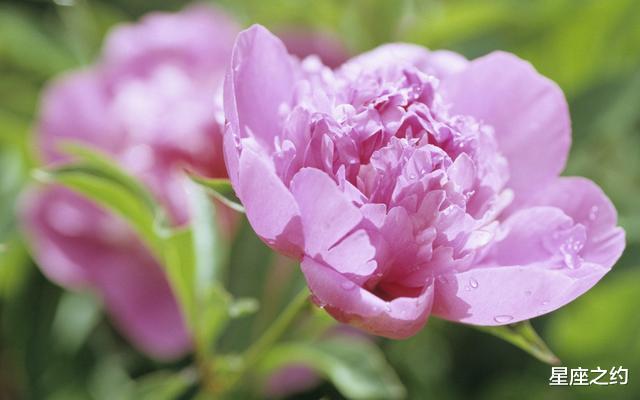 [天蝎座]5月23日-27日星座运势：天蝎干净利索，水瓶独立自主