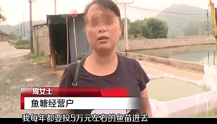 鳄鱼|价值数万鱼苗消失大半，竟是怪鱼在作祟：牙齿很尖像鳄鱼嘴一样