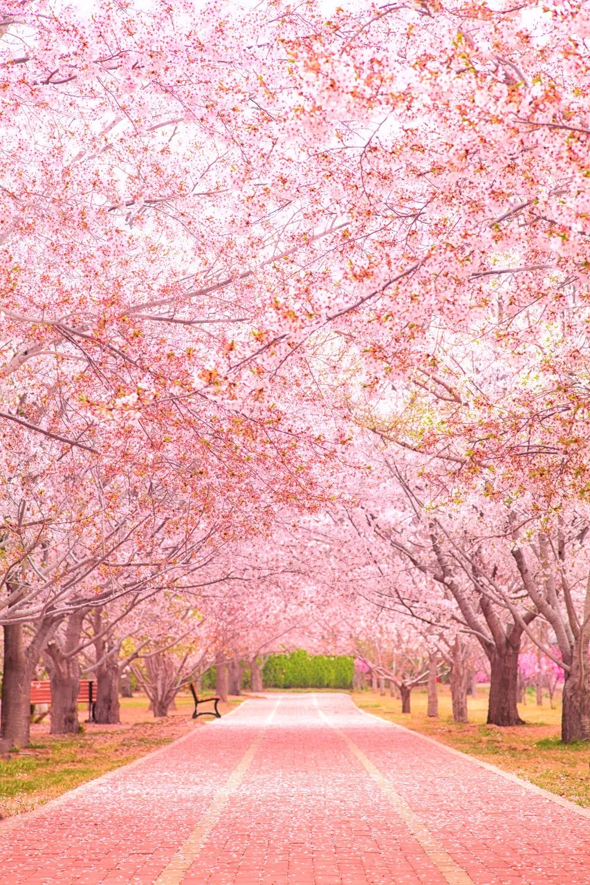 [辽宁省]美过三亚！比厦门浪漫！中国这座海滨老城，去一次相当于环游世界！