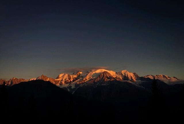 野火难烧尽，火后砍伐树木对森林会有什么影响？