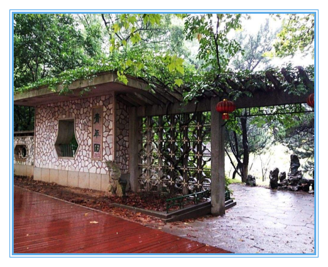 填报志愿|今年高考填报志愿“捡漏王”出现，500多分就上985，诀窍有2个