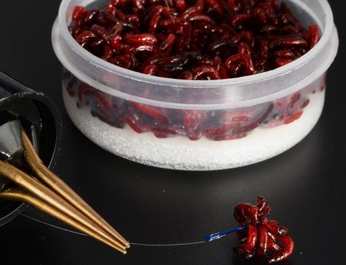 |红虫做饵，要分单打还是群殴，单打钓小鱼，群殴则大小鱼通杀