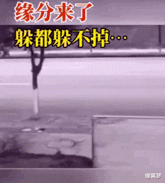 |“男孩子真的会喜欢这种微胖的身材吗？”哈哈哈何止是喜欢，简直是梦寐以求