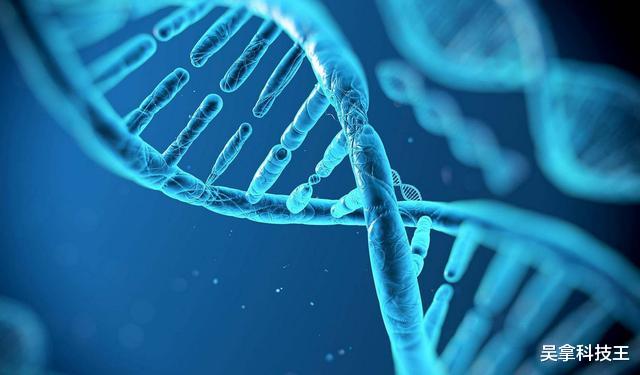 蚊子|24万人反对无效!美国将释放7.5亿只蚊子:全部经过基因改造!