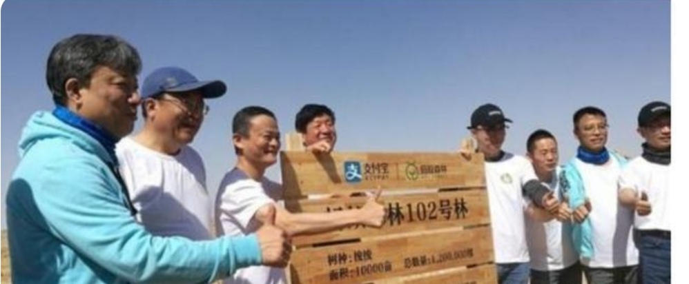 支付宝|5.5亿国人参加，由马云带头的“蚂蚁森林”项目，4年了现状如何？
