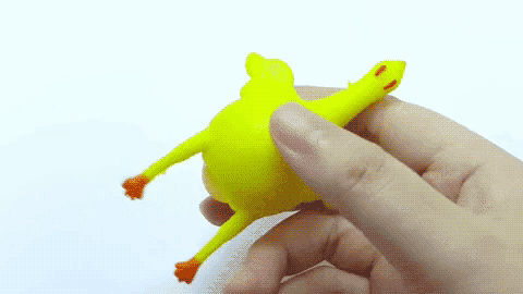 |“钓鱼的时候飞到我手上的,第一次见,有知道这是什么的吗?”哈哈哈哈哈哈~