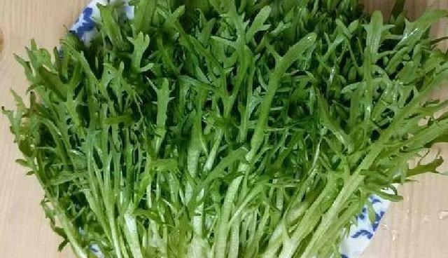 饺子|小暑后，多吃此菜，维C是菠菜3倍，1块钱一斤，用来包饺子最好吃