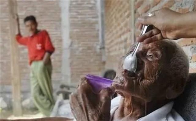 臆说古史|被死神遗忘的老人，把4任妻子和儿女全熬死，晚年最大心愿：能死