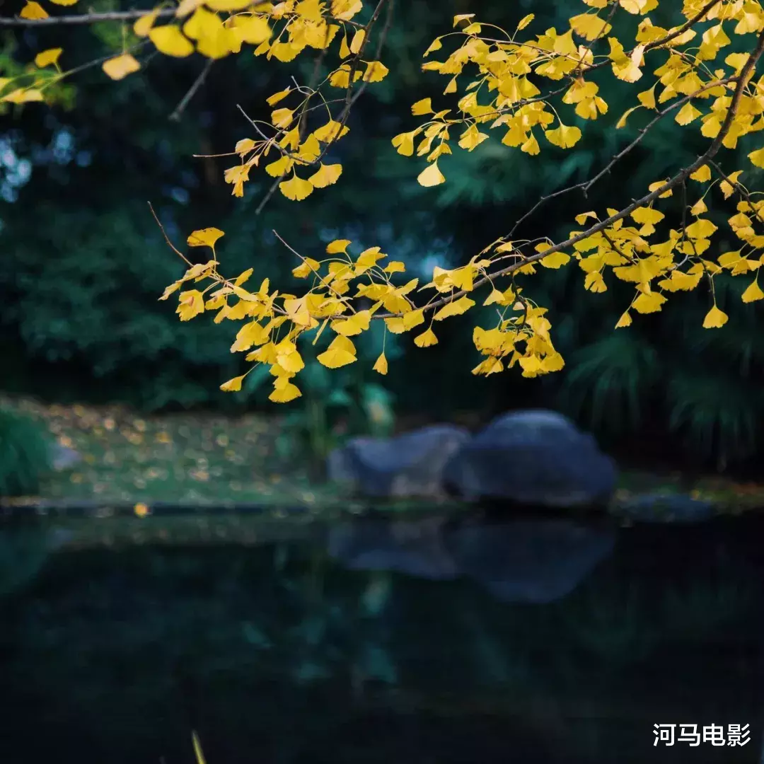 成都|秋天最值得去的八座古城,你去过几个?