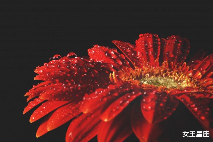 双鱼座|喜鹊门前叫，3生肖财大气粗，吉星高照家宅，接下来一周，要暴富！