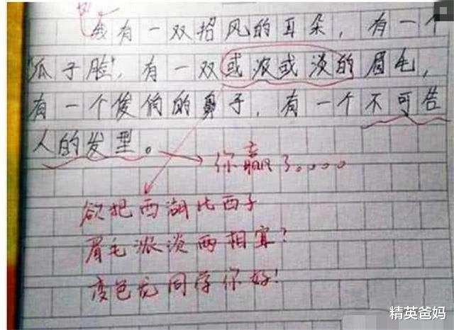 [作文]小学生“0分作文”走红，老师认为凑字数，宝妈懵了：应该满分