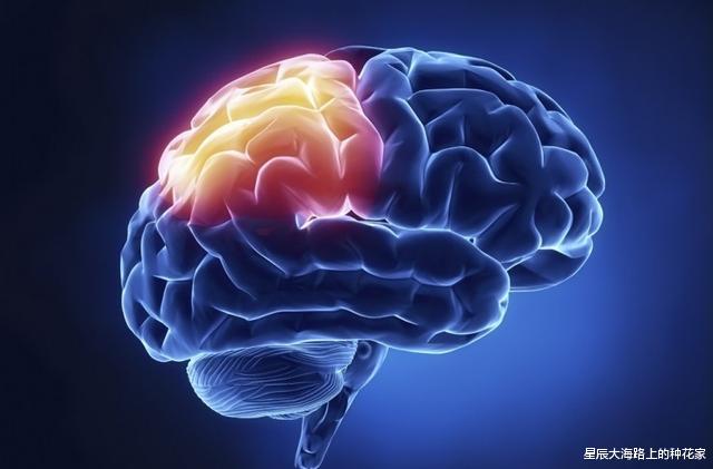 |人类被高等文明圈养，等待灵魂收割，能量高的将植入到高等生物？