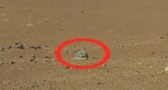 『火星』火星不明物体又来了！猪与鸟齐现身，是巧合还是真有生命？