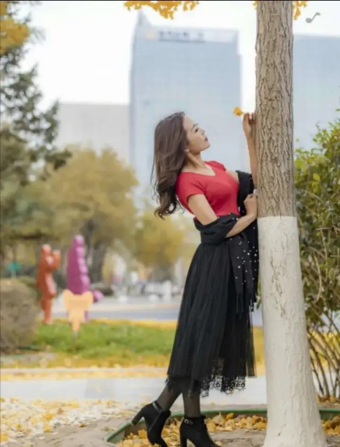 秋分|七绝·西风坠叶正秋分