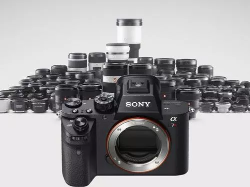 iPhone|手机拍照，小白也能拿“奥斯卡”？