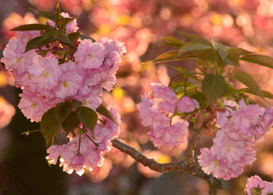 「天蝎座」进入4月下旬,4属相吉星照耀,步入人生上上签,财运连旺