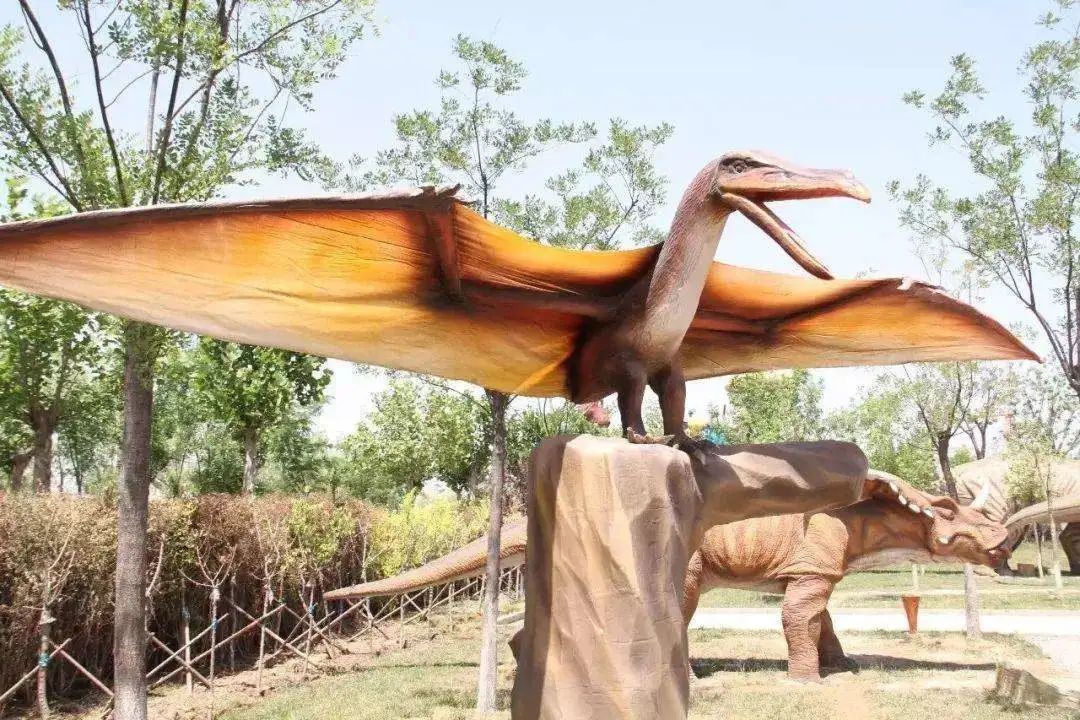 天津市|开车自驾去旅游,感受人文、享受自然!