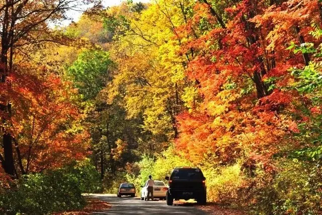 自驾|全国最早一波秋色来了!这6条自驾路线,9、10月美成天堂