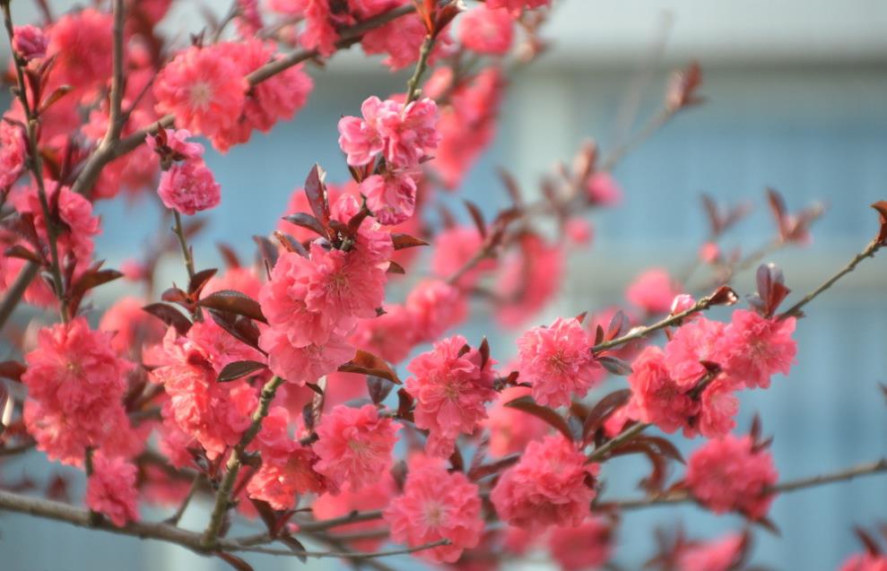 【运势】6月26号，财富盈门，3属相喜事扎堆来，运势最强