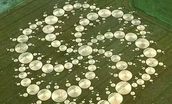 「麦田怪圈」仔细看看麦田怪圈里的植物，就知道人类不可能制造出这种东西！