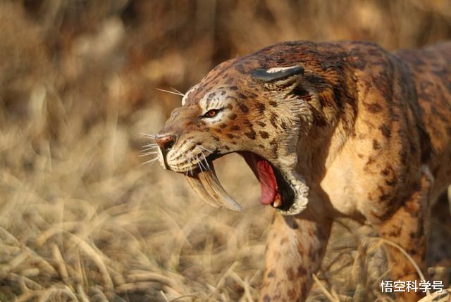 冰川期@下一次小冰河期会不会十年内到来？人类要怎么做才能挺过去？