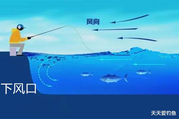 钓鱼技巧|钓鱼技巧：选择钓点，钓顺风还是钓逆风？千万别乱选，渔获差距大